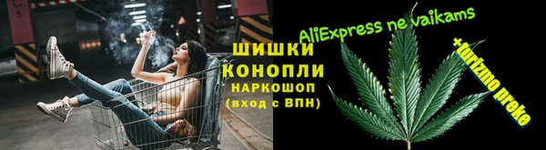 ГАЛЛЮЦИНОГЕННЫЕ ГРИБЫ Арсеньев