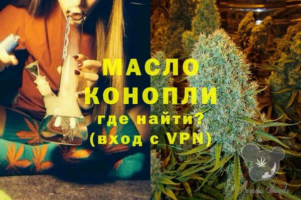 крисы Армянск