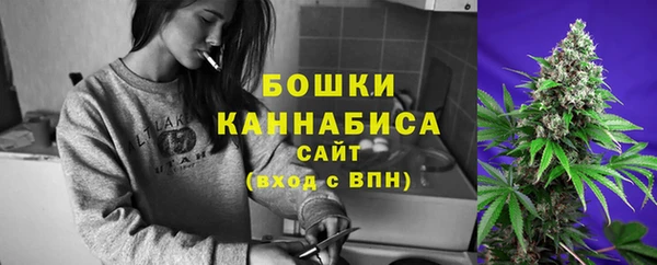 ГАЛЛЮЦИНОГЕННЫЕ ГРИБЫ Арсеньев