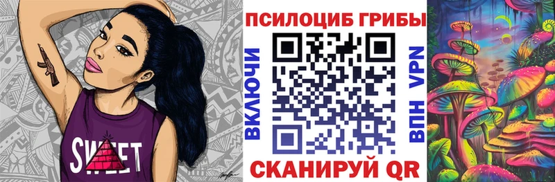 купить   Асбест  Галлюциногенные грибы Cubensis 